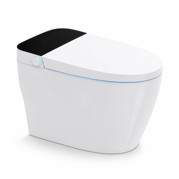 ST1001 Smart Toilet