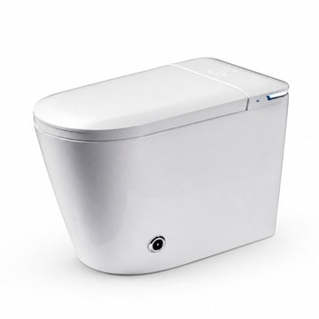 ST-1008 Smart Toilet